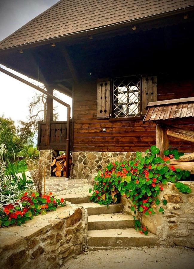 Садиба Остра Shcherbovets Exteriér fotografie